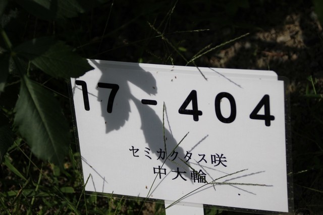 IMG_5948 (1280x853).jpg