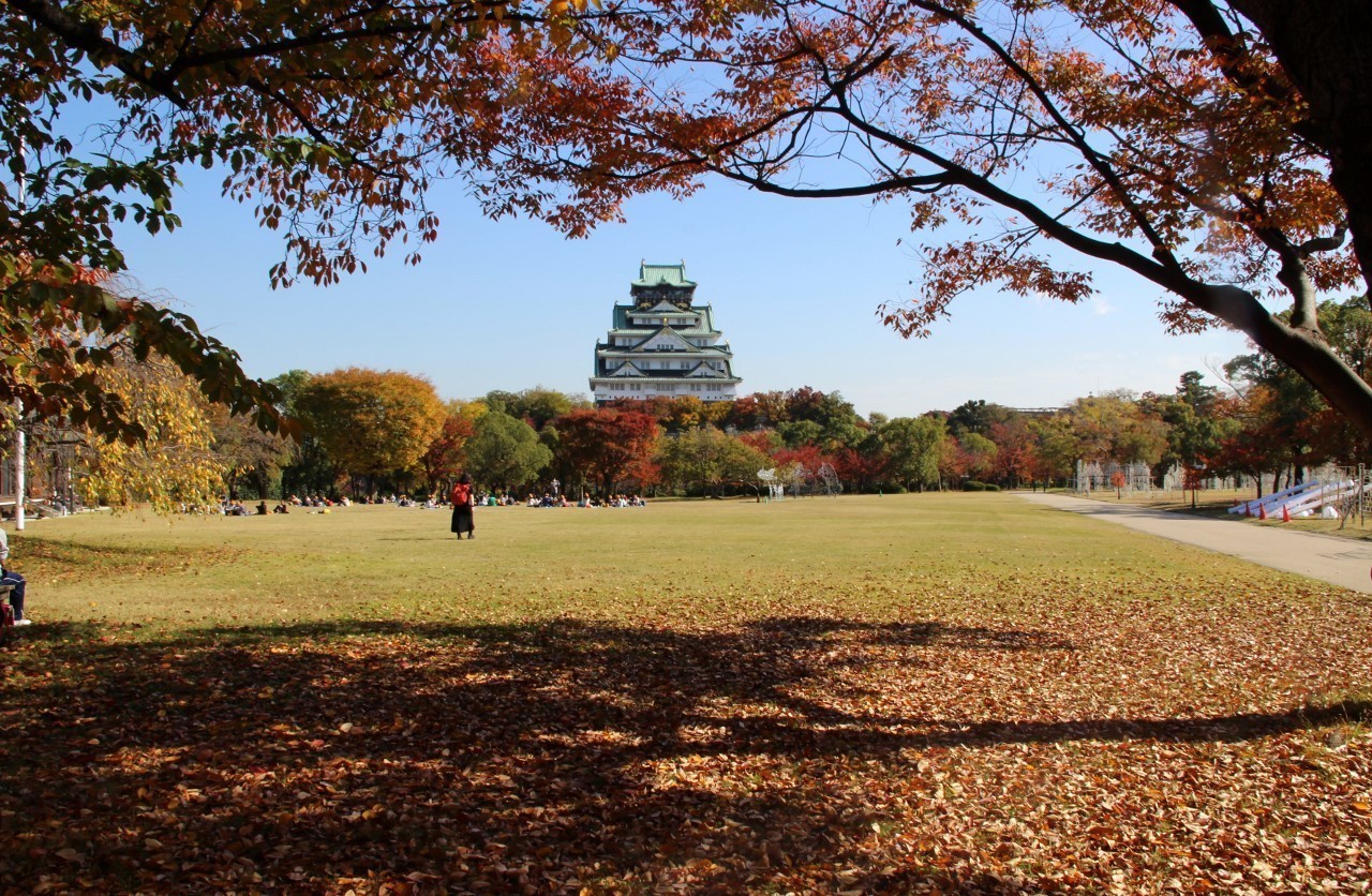 ２０２２年１１月１５日・大阪城公園（大阪市中央区）へ紅葉を⑤