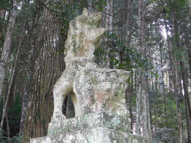 10aP_DSCN1334.jpg