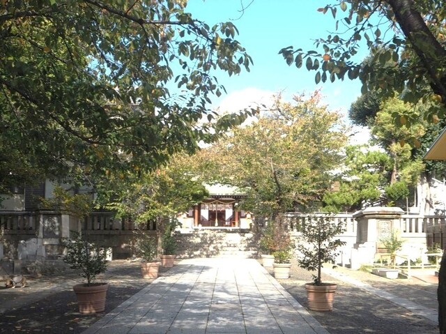 10aP_PB066097 - コピー.jpg