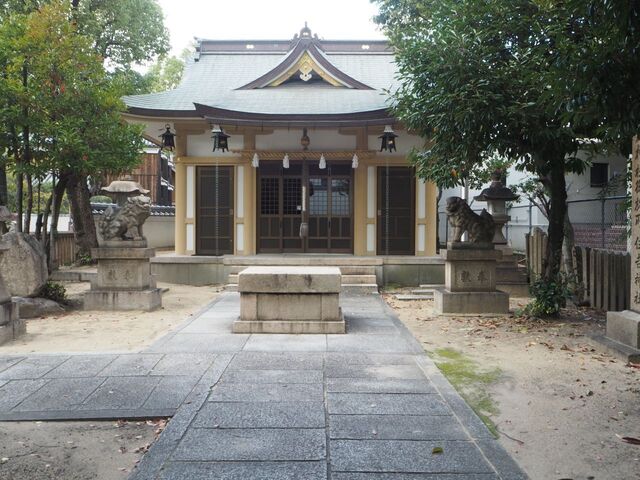 10aP_PB066545.jpg