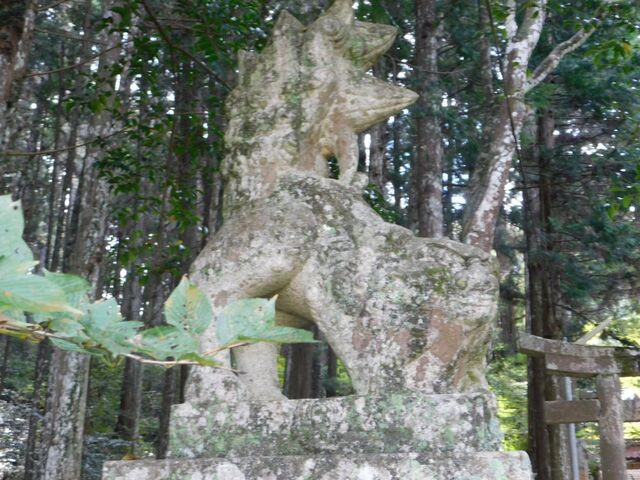 11aP_DSCN1336.jpg