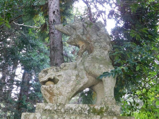 13aP_DSCN1340.jpg