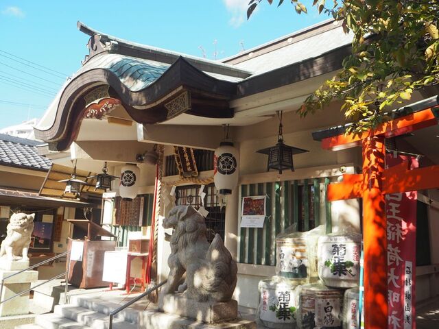 13aP_PB065888.jpg