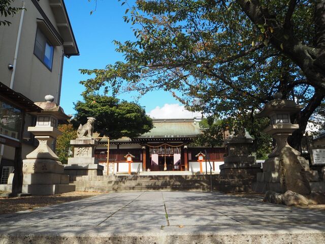 13aP_PB066086.jpg