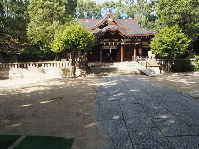 14aP_PB066300.jpg
