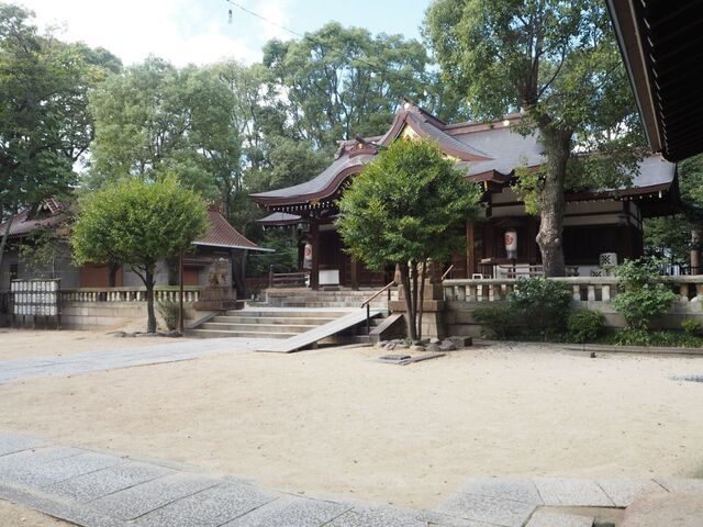 15aP_PB066376.jpg