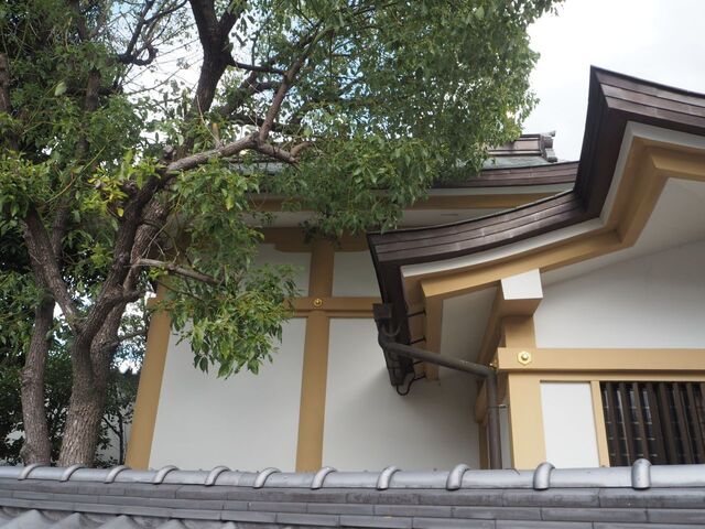 15aP_PB066582.jpg