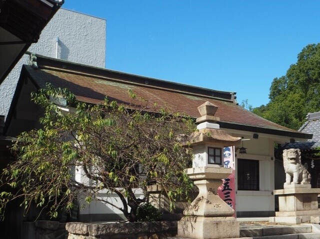 16aP_PB065964.jpg