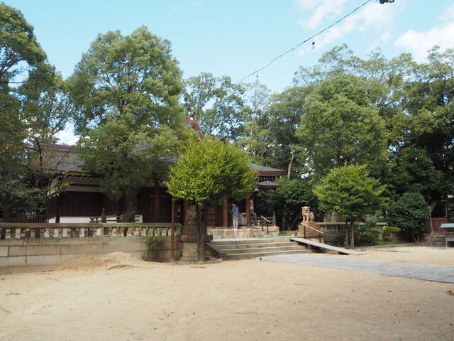 16aP_PB066381.jpg