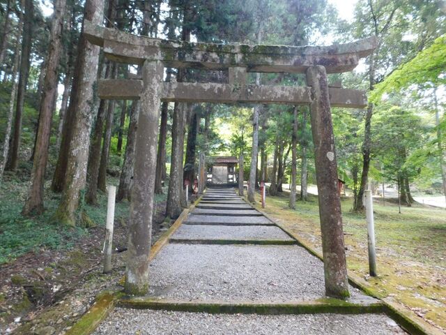17aP_DSCN1329.jpg