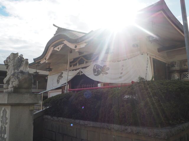 17aP_PB066481.jpg