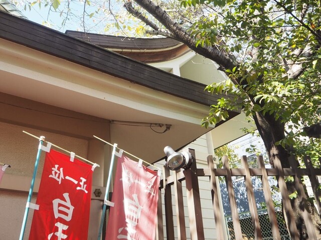 18aP_PB065898.jpg