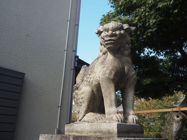 18aP_PB066068.jpg