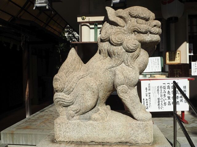 19aP_PB065911.jpg