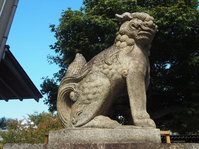 19aP_PB066071.jpg