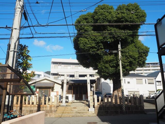 1aP_PB065768.jpg
