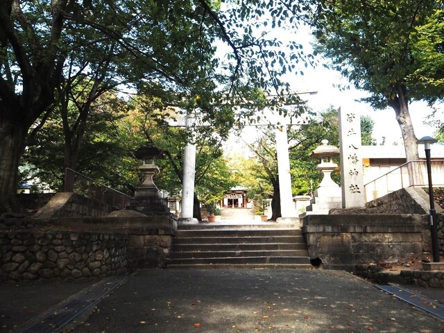 1aP_PB066107.jpg