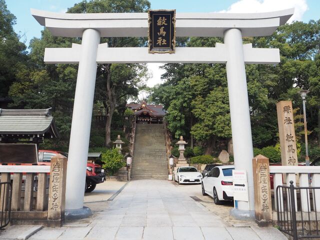 1aP_PB066269.jpg