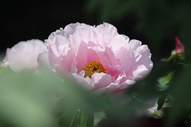 1bP_IMG_7328.jpg
