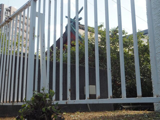20aP_PB065981.jpg