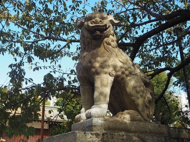20aP_PB066073.jpg