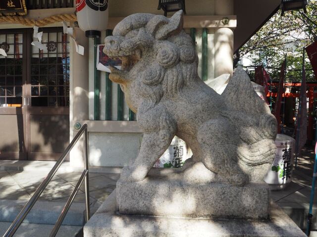 21aP_PB065915.jpg
