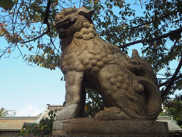 21aP_PB066075.jpg