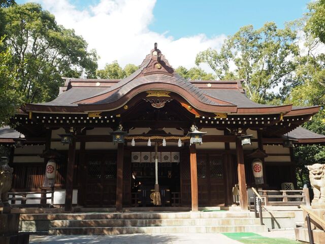 21aP_PB066305.jpg