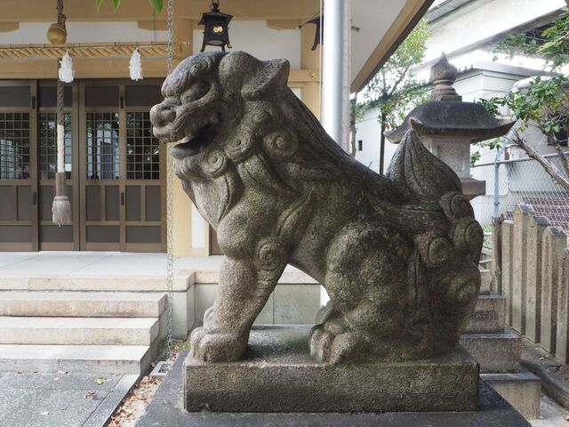 21aP_PB066568.jpg