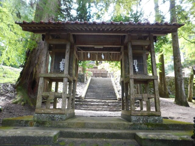 22aP_DSCN1315.jpg