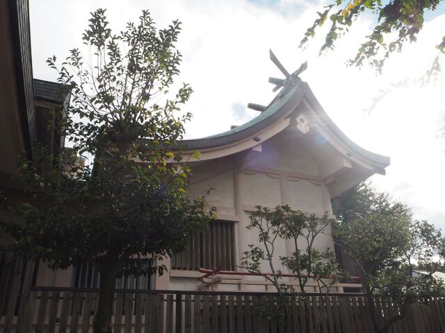 22aP_PB066503.jpg