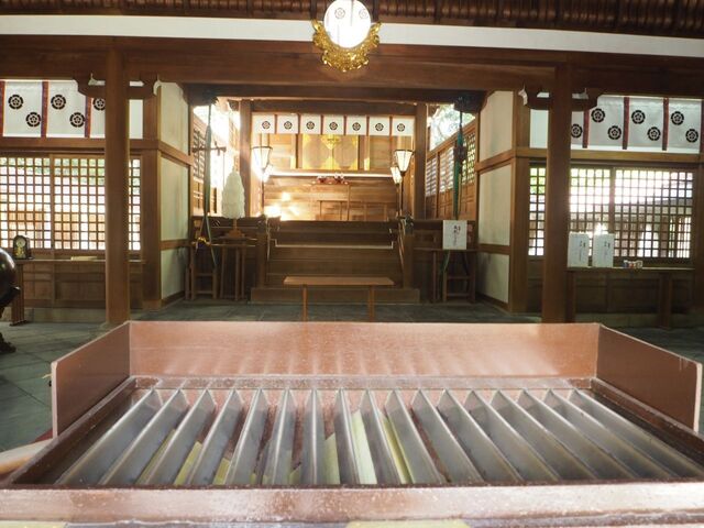 24aP_PB066317.jpg