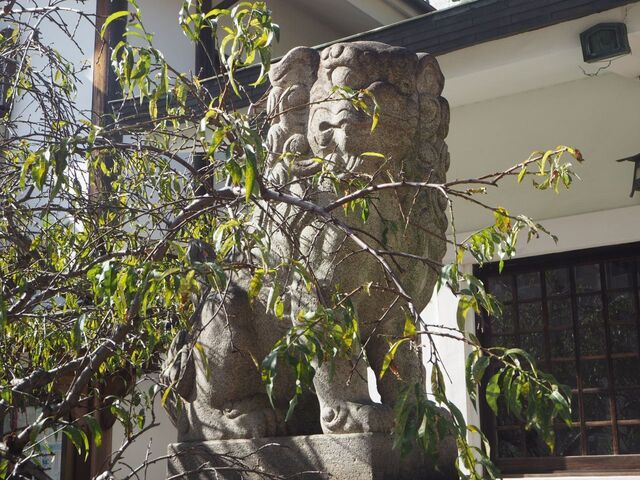 25aP_PB065942.jpg