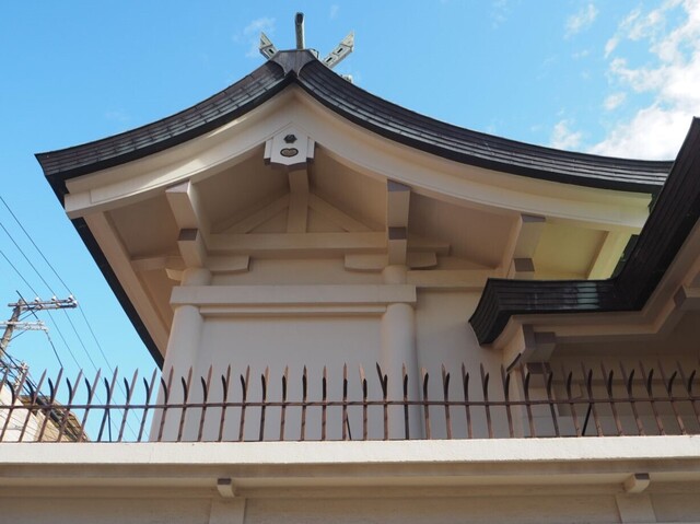 25aP_PB066163.jpg