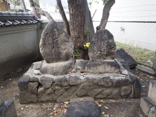 25aP_PB066572.jpg