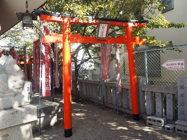 26aP_PB065892.jpg