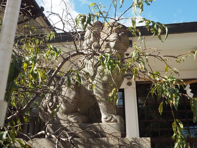 26aP_PB065943.jpg