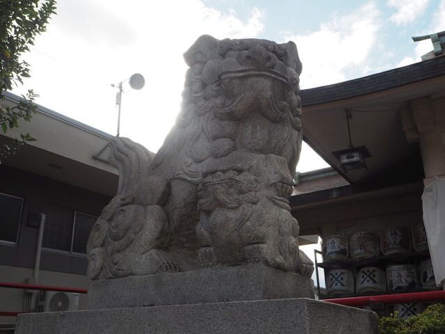 26aP_PB066513.jpg