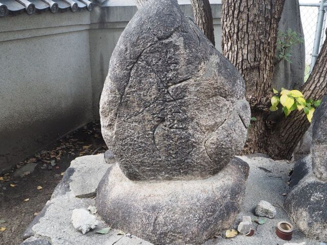 26aP_PB066574.jpg