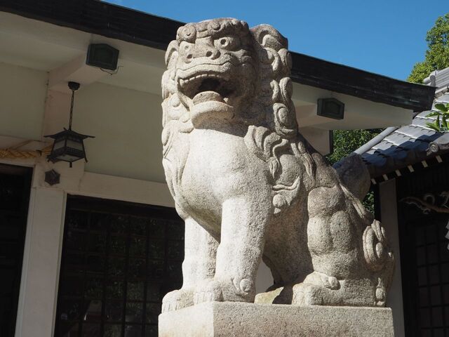 27aP_PB065945.jpg
