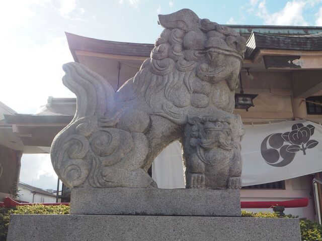27aP_PB066491.jpg