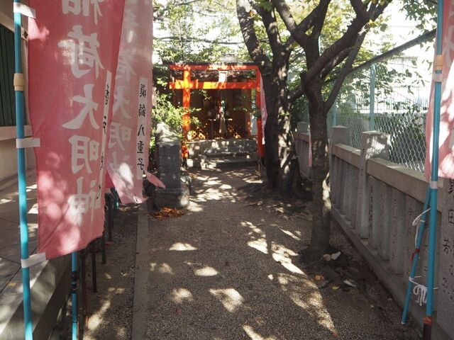 28aP_PB065896.jpg