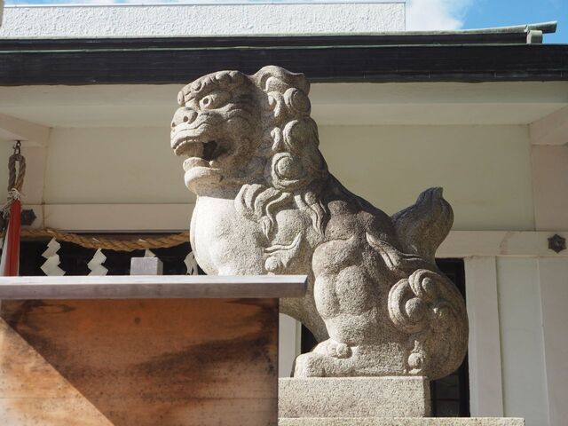 28aP_PB065948.jpg
