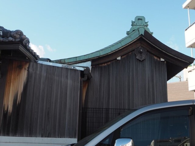 29aP_PB065792.jpg