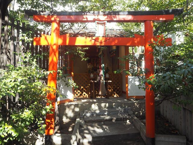 29aP_PB065897.jpg