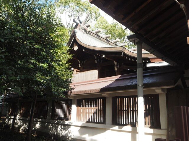 29aP_PB066327.jpg