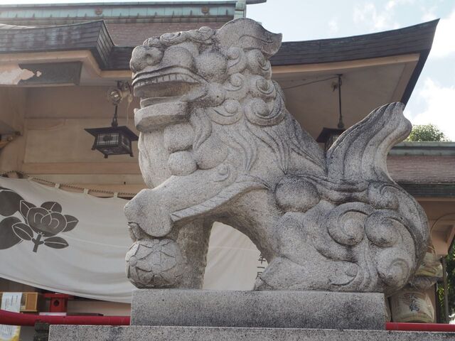 29aP_PB066496.jpg