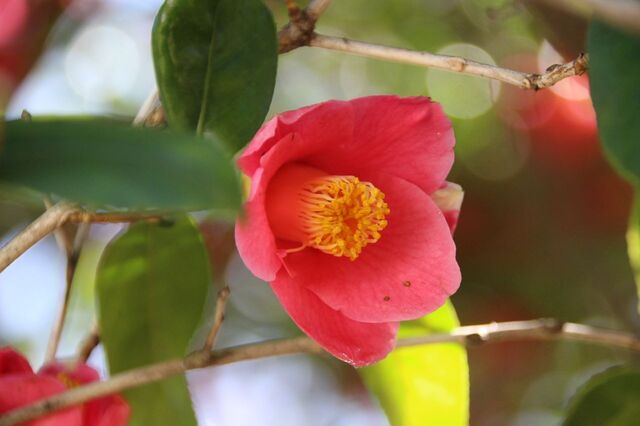 2UP_IMG_7035.jpg