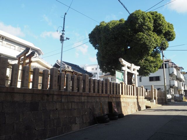 2aP_PB065767.jpg